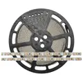 LED pás SMD2835 12V 9,6W/m 120LED/m, 6000K IP20