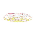 COB LED pás 12V 10W/m IP20 6500K 5m