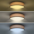 LED osvetlenie Brownie, 60W, 4200lm, 50cm, CCT, stmievateľné