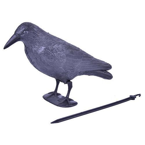 Plašič vtákov Havran čierny, 38 cm 